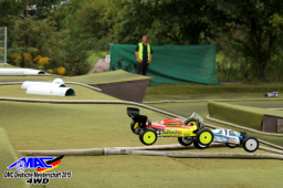 2015 DM 4WD Buggy 4WD Juni